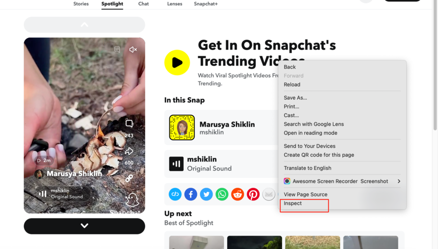 Step 2 - Inspect Element